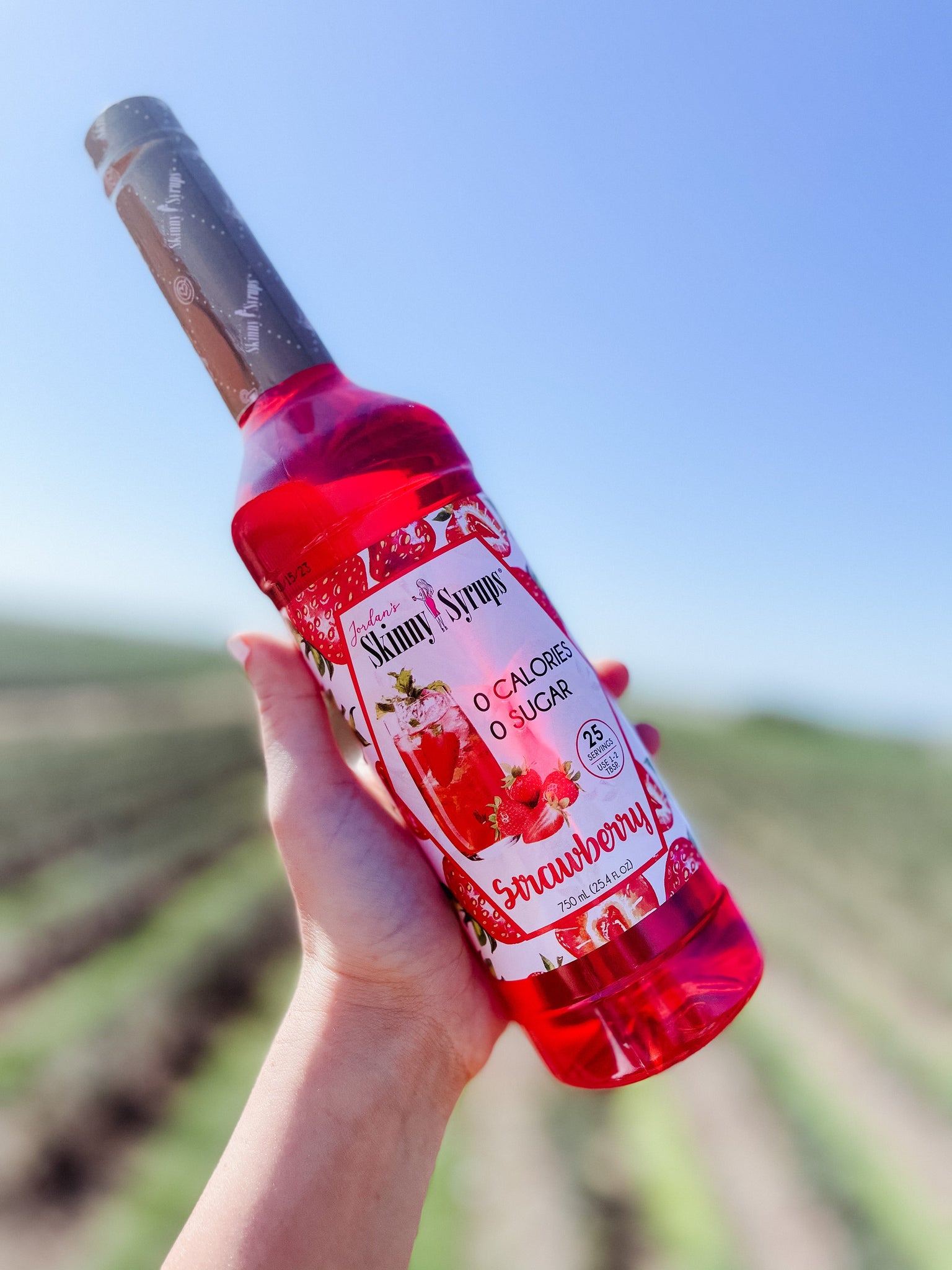 Fruit Syrup Collection - Skinny Mixes